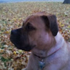 Meet your Posher, Keith